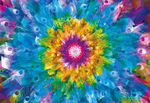 孔雀花纹太阳花图案创意装饰画