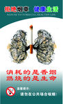拒绝烟草健康生活