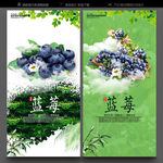 蓝莓