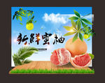 柚子新鲜海报设计
