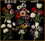 手绘植物花卉素材
