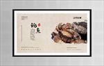 鲍鱼