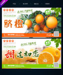 脐橙