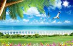 海景椰子树