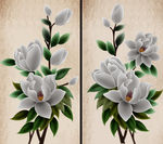 白花