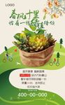 十里春风恰有一份绿植待领