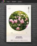 鲜花展板