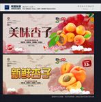杏子
