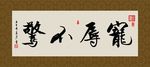 宠辱不惊 书法 字画 毛笔字