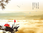 荷花背景