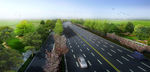 道路绿化