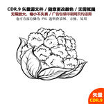 手绘线描蔬菜水果菜花矢量图