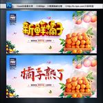 新鲜橘子