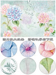 时尚复古水彩绣球花卉壁画背景墙