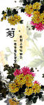 水彩菊花