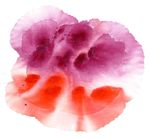 水墨 抽象水墨 创意水墨 笔刷