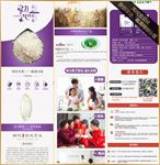 大米详情页设计