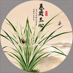 国画兰花
