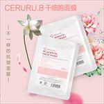 面膜主图