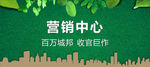 绿植墙