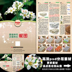 苦荞家纺A3单页