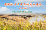 黄河农业
