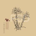 铁皮石斛