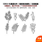 手绘植物草药矢量图