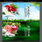 苹果采摘海报