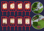 中国梦 临川四梦