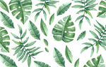 植夏