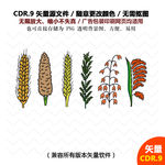 手绘农作物小麦高粱矢量图