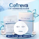 面膜主图