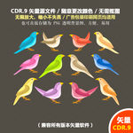 手绘彩色可爱小鸟矢量图
