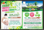 绿壳鸡蛋宣传单
