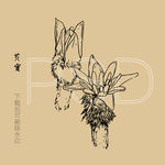 芡实