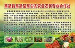生态农业农民专业合作社