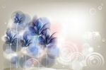 梦幻花