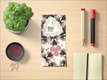 通用高档全套VI系统样机