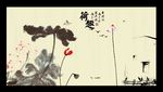 国画荷花