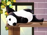 熊猫宝宝