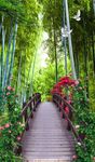 林间小路玄关