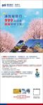 赏樱之旅-展架