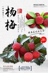 清新杨梅水果展板海报模板