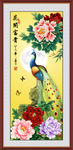 牡丹 孔雀