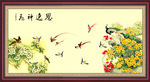 孔雀