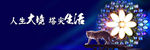 豹子户外T牌
