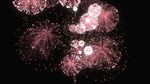 烟花