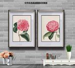 纯手绘花鸟美图
