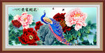 花开富贵孔雀 图